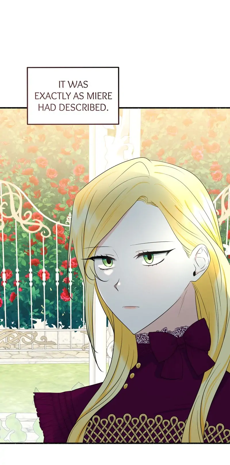 32997771 800 1618 92012