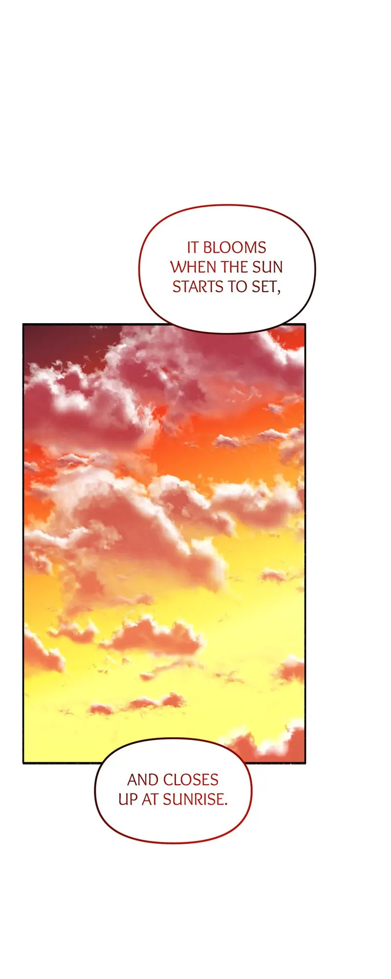 32997669 800 2000 40344